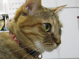 IMG06255.jpg