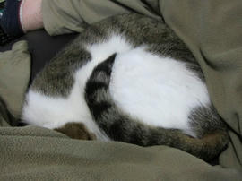 IMG06256.jpg