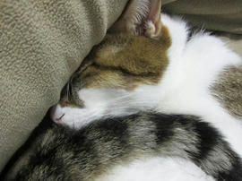IMG06257.jpg