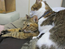 IMG06259.jpg