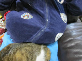 IMG06272.jpg