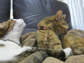 IMG06283.jpg