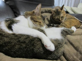 IMG06287.jpg