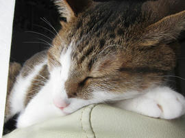 IMG06289.jpg