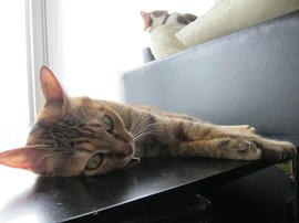 IMG06291.jpg