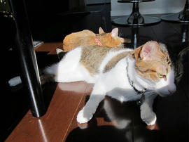 IMG06294.jpg