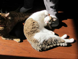 IMG06305.jpg