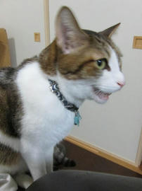 IMG06311.jpg