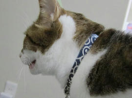 IMG06315.jpg