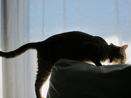 IMG06320.jpg