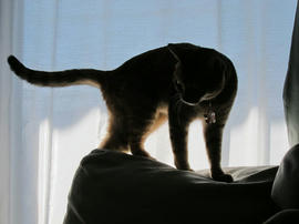 IMG06321.jpg