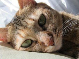 IMG06323.jpg