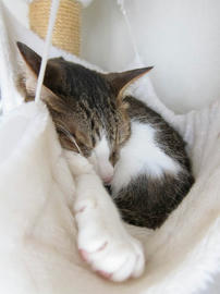IMG06326.jpg