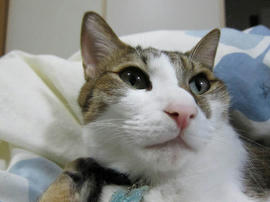 IMG06328.jpg