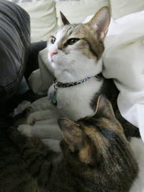 IMG06329.jpg