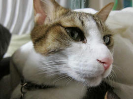 IMG06330.jpg