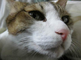 IMG06331.jpg