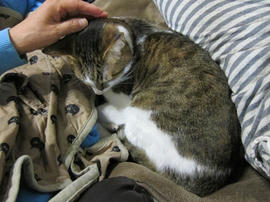 IMG06335.jpg