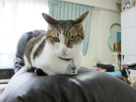 IMG06339.jpg