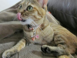IMG06344.jpg