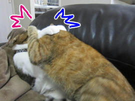 IMG06345.jpg