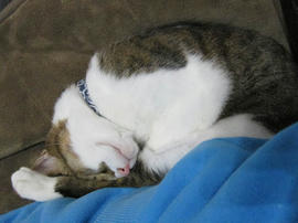 IMG06348.jpg