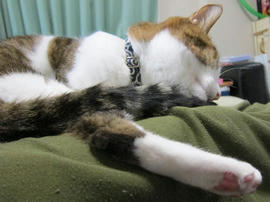 IMG06351.jpg