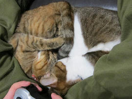 IMG06354.jpg