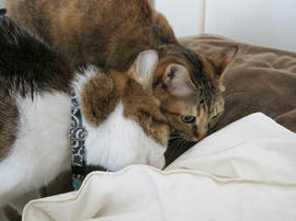 IMG06356.jpg