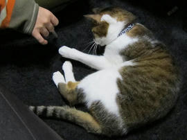 IMG06359.jpg