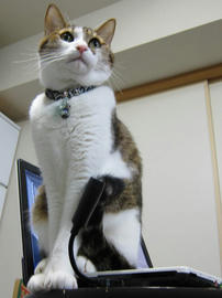 IMG06372.jpg