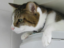 IMG06377.jpg