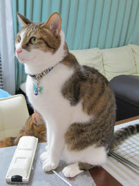 IMG06384.jpg