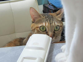 IMG06385.jpg