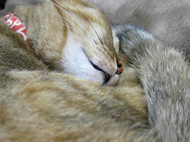 IMG06388.jpg