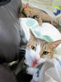 IMG06390.jpg