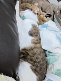 IMG06394.jpg