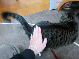 IMG06396.jpg