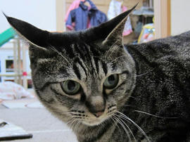 IMG06397.jpg