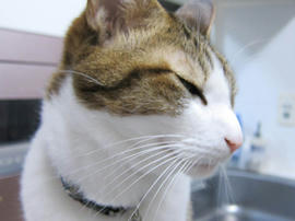 IMG06411.jpg