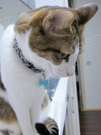 IMG06412.jpg