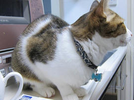 IMG06414.jpg