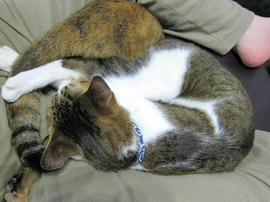 IMG06422.jpg