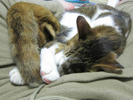 IMG06423.jpg
