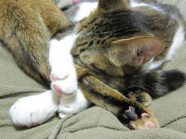 IMG06425.jpg