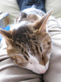 IMG06429.jpg