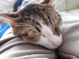IMG06431.jpg