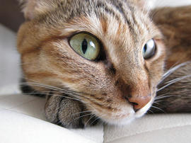 IMG06434.jpg