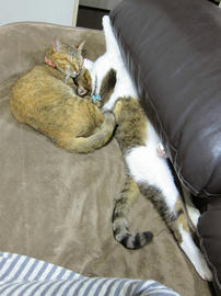 IMG06446.jpg