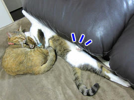 IMG06448.jpg